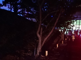 芝山町ホタル祭りにて竹灯りの展示を実施しました